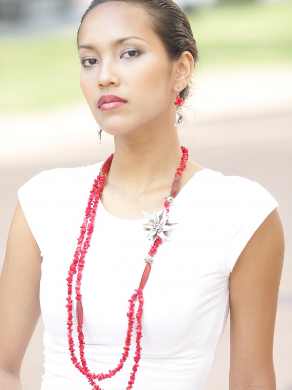 NRC 2 - Poinsettia And Red Coral